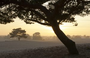 Op pad de natuur in? Doe dit overdag! Henk en Karen, Soester Duinen