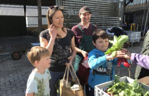 Open dag bij Herenboerderij Willemshoeve Open dag bij Herenboerderij Willemshoeve