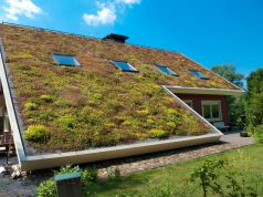 Vraag nu subsidie aan voor een groen dak