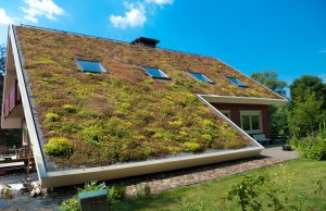Vraag nu subsidie aan voor een groen dak