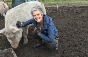 Onbetaalde krachten op Herenboerderij Willemshoeve Soest Onbetaalde krachten op Herenboerderij Willemshoeve Soest