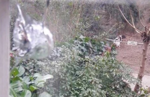 Vandalen in Bloemheuvel