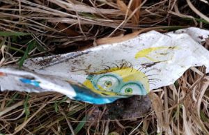 McDonalds gaat de strijd aan met afval