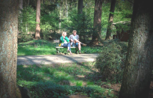 Kijken kunstenaar anders?