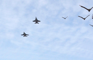 Wel F16 jachtvliegtuigen, maar geen vliegshow