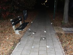 Jongeren; vervelen of vervelend?