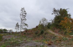Amerikanen in Soesterberg Spotters-hill 2018