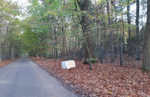 Lekker koel in het bos?