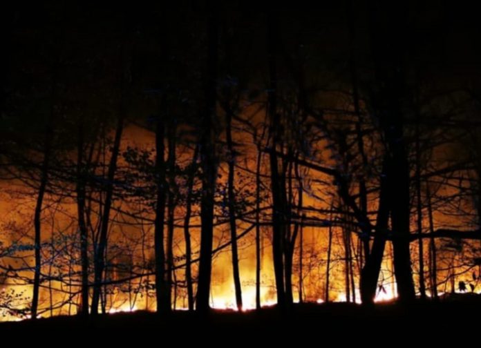 Bron: Brandweer Soesterberg. Grote bosbrand