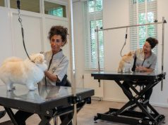 Honden krijgen luxe behandeling