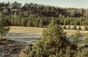 Tennisvereniging viert feest in Soesterberg Tennisvereniging viert feest in Soesterberg