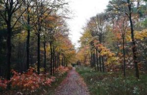 Oude Tempel blijft gemoederen bezighouden Oude Tempel blijft gemoederen bezighouden