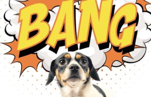 Een andere kijk op oud en nieuwjaarsdag Een andere kijk op oud en nieuwjaarsdag