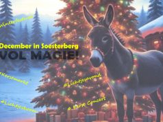 Van kerstmarkt tot kerstlichtjesavond Van kerstmarkt tot kerstlichtjesavond