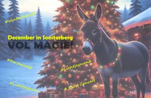 Van kerstmarkt tot kerstlichtjesavond Van kerstmarkt tot kerstlichtjesavond