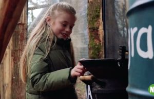 De Chimpanseevallei open in DierenPark Amersfoort