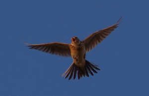 Het jaaroverzicht; April 2024 Het jaaroverzicht; April 2024