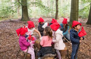 Tijdens de vakantie op het Kabouterpad Foto: Ontdek wat de Heuvelrug met je doet -Tijdens de vakantie op het Kabouterpad