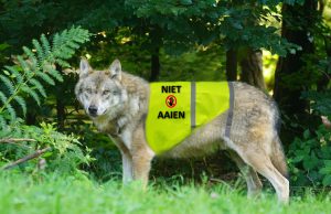 Dorp Soesterberg sluit deuren voor dieren Dorp Soesterberg sluit deuren voor dieren