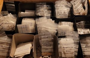 Gratis zaden ruilen voor een kleurrijke tuin in Soesterberg Foto: Facebook - Gratis zaden ruilen voor een kleurrijke tuin in Soesterberg