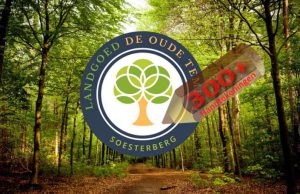 Heroverweging bestemmingsplan Oude Tempel Soesterberg Burgerinitiatief Oude Tempel Soesterberg groeit fors
