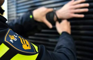 Verdachte aangehouden na zedenmisdrijf in Zeister bos Foto: Politie - Verdachte aangehouden