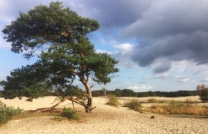 Burgemeester opent tentoonstelling Geopark Burgemeester opent tentoonstelling Geopark
