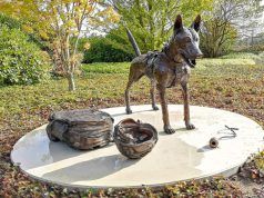 De diensthond als stille held van Defensie Foto: Johan Pel - De diensthond als stille held van Defensie