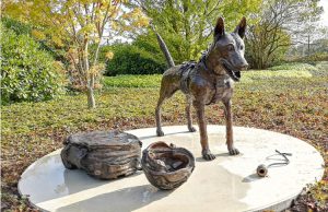 De diensthond als stille held van Defensie Foto: Johan Pel - De diensthond als stille held van Defensie