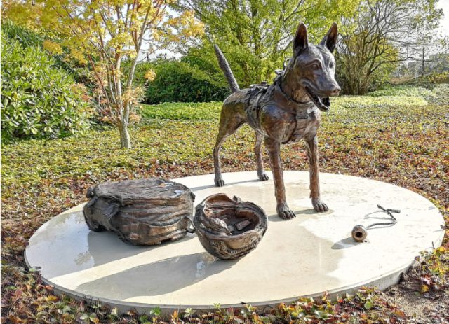 Foto: Johan Pel - De diensthond als stille held van Defensie