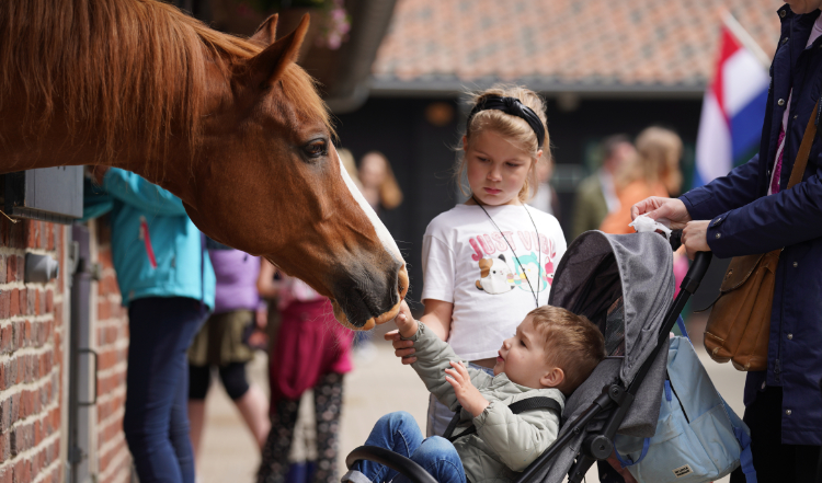 Open dag en snuffelmarkt bij Paaprdenkamp Soest