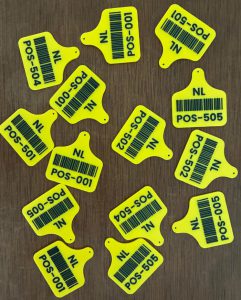 Foto: POS Soesterberg