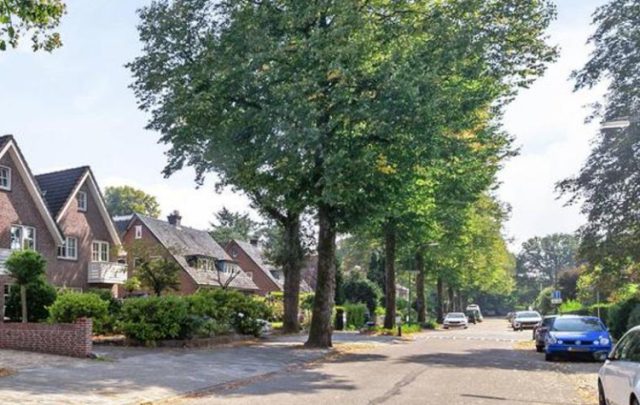 Foto: Wels - Grote onvrede over bomen Winkelmanstraat Soesterberg Foto: Wels - Grote onvrede over bomen Winkelmanstraat Soesterberg