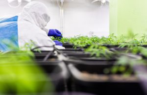 Verdachten drugslab Soesterberg krijgen zes jaar te horen Verdachten drugslab Soesterberg krijgen zes jaar te horen