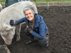Onbetaalde krachten op Herenboerderij Willemshoeve Soest Onbetaalde krachten op Herenboerderij Willemshoeve Soest