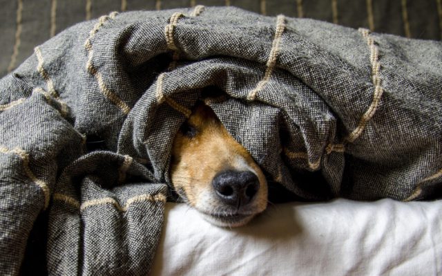 Zorgen over vuurwerk afsteken door jongeren in Soesterberg Zorgen over vuurwerk afsteken door jongeren in Soesterberg