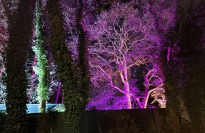 Prachtige kerstverlichting in Soesterberg Prachtige kerstverlichting in Soesterberg