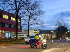 Twee dode damherten in laadruimte tijdens verkeerscontrole Soesterberg Foto: Marechaussee Midden Nederland
