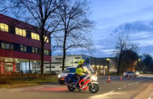 Twee dode damherten in laadruimte tijdens verkeerscontrole Soesterberg Foto: Marechaussee Midden Nederland