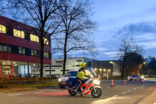 Twee dode damherten in laadruimte tijdens verkeerscontrole Soesterberg Foto: Marechaussee Midden Nederland