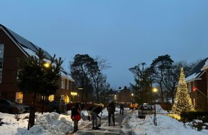 Veerkracht tijdens barre winterdagen in Soesterberg Soesterberg toont veerkracht tijdens barre winterdagen