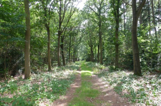 Partij voor de Dieren wil Oude Tempel Soesterberg behouden Partij voor de Dieren wil Oude Tempel Soesterberg behouden