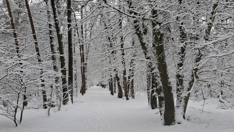 Gladheid in Soesterberg vraagt om voorzichtigheid!