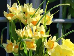 Wederom een wake bij Detentiecentrum Zeist Wederom een wake bij Detentiecentrum Zeist