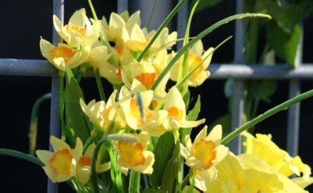 Wederom een wake bij Detentiecentrum Zeist