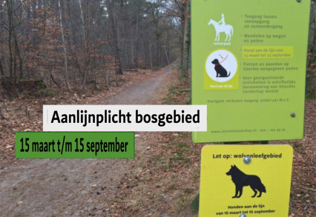 Opnieuw aanlijnplicht honden bosgebied nabij Soesterberg