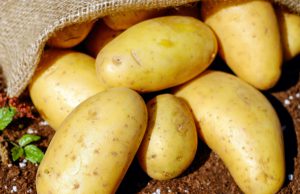 Politieke partij POS deelt aardappelen uit in Soesterberg