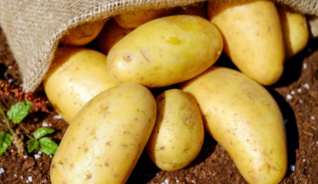 Politieke partij POS deelt aardappelen uit in Soesterberg