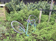 Zwerfafval blijft hardnekkig probleem in Soesterberg Foto: Johan Pel - Zwerfafval blijft hardnekkig probleem in Soesterberg