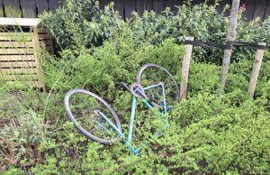 Zwerfafval blijft hardnekkig probleem in Soesterberg Foto: Johan Pel - Zwerfafval blijft hardnekkig probleem in Soesterberg